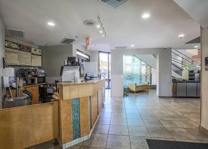 Gorgeous 1Br Oceanview Suite, Dogs Ok 904