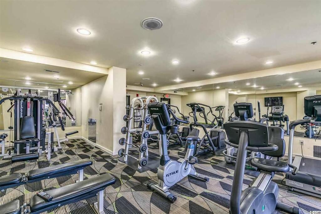 Gorgeous 1br Oceanview Suite, Dogs Ok 904 Apartment *